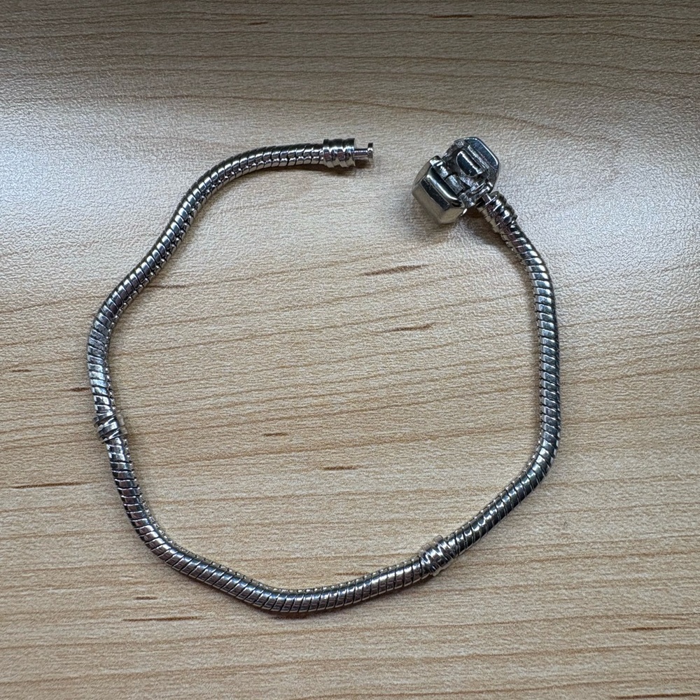 PANDORA STYLE CHARM BRACELET